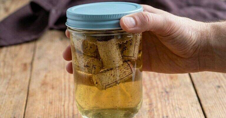 Why Our Grandmothers Soaked Corks in Used Cooking Oil