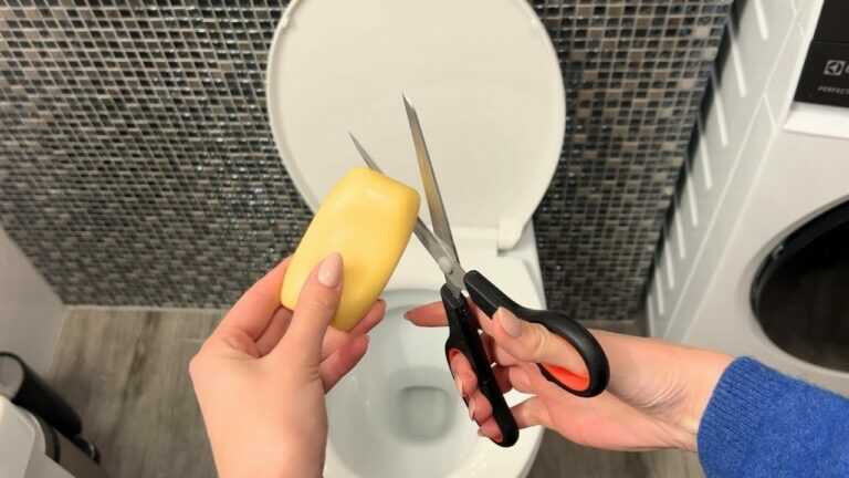 Wirf Seife in die Toilette. Einmal, und du wirst vom Ergebnis erstaunt sein!