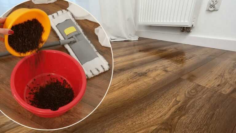 Spiegelglänzende Böden in sechzig Sekunden! Dieser DIY-Reiniger bekämpft Schmutz und Insekten!