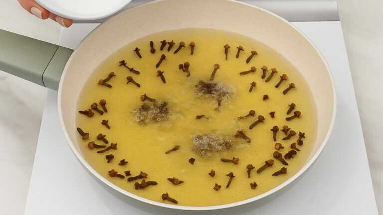 Niente più mosche, formiche e scarafaggi in casa
