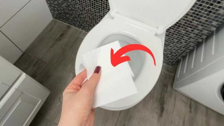 Sollten Sie den Toilettensitz abwischen, bevor Sie ihn benutzen? Das sollten Sie wissen!