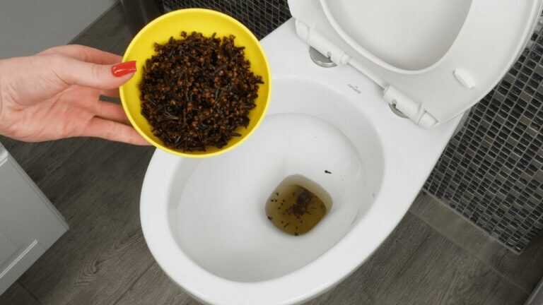 Wirf Gewürznelken in deine Toilette! Du wirst mir später danken.