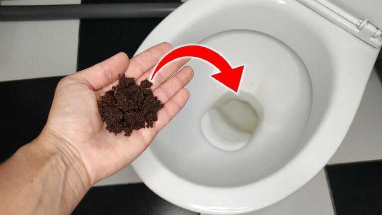 Versez du café dans la cuvette des toilettes 💥 Et vous vous débarrasserez à jamais des dépôts et des mauvaises odeurs