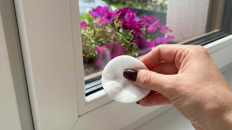 Addio zanzare e mosche! Questo trucco crea una barriera naturale alle finestre