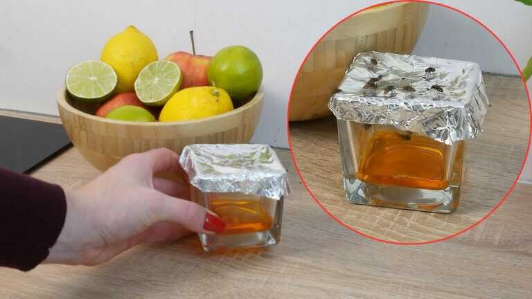 La trappola di carta stagnola che cattura tutte le mosche della frutta