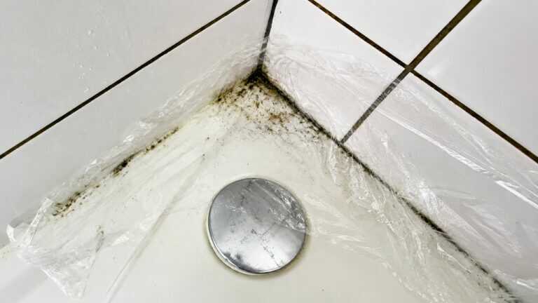 Coloca ESTA mezcla de cocina bajo film plástico durante diez minutos para derretir el moho