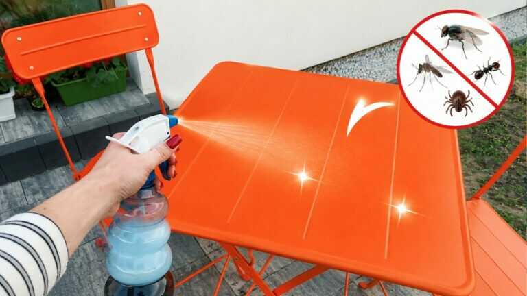 Una spezia da cucina ha cambiato tutta la mia estate: una casa profumata e senza insetti