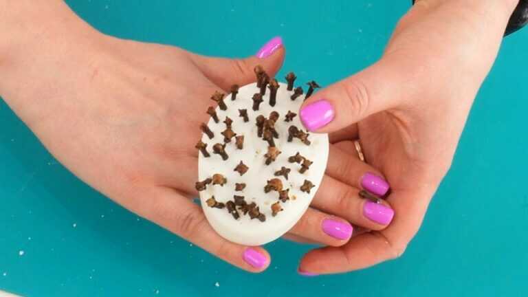 Verabschieden Sie sich von Insekten im Haus für weniger als einen Euro – der geniale Trick