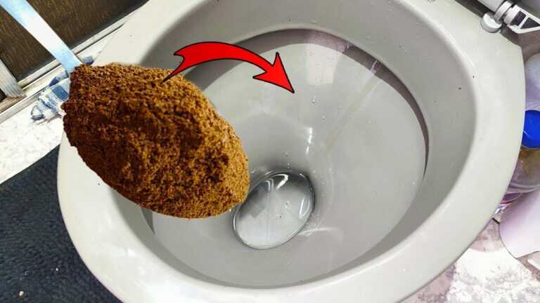 Ich war am Sterben und wusste es nicht! Ich habe Kaffee in die Toilettenschüssel getan und gebe im Supermarkt nichts mehr aus!