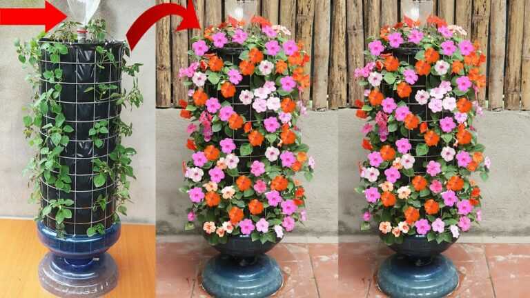 Idées créatives pour un jardin de fleurs de jade – Comment faire pousser de belles fleurs de jade pour le jardin
