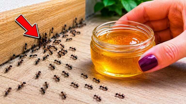 1 coperchio appiccicoso dei prodotti di base della dispensa ha salvato la mia cucina