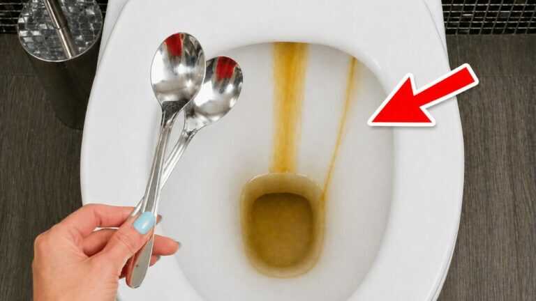 Modo semplice per pulire il calcare del WC come fanno i professionisti