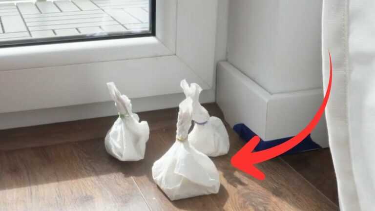 Das magische Säckchen, das alle Insekten im Haus auf natürliche Weise vertreibt