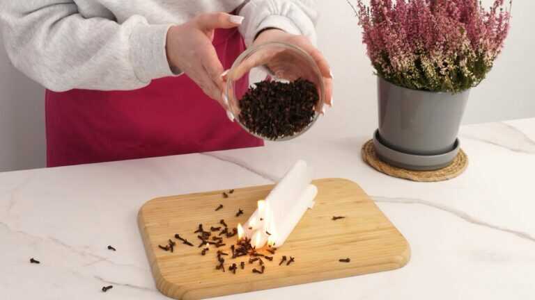 Una candela fatta in casa al caffè e ai chiodi di garofano che profuma e scaccia gli insetti