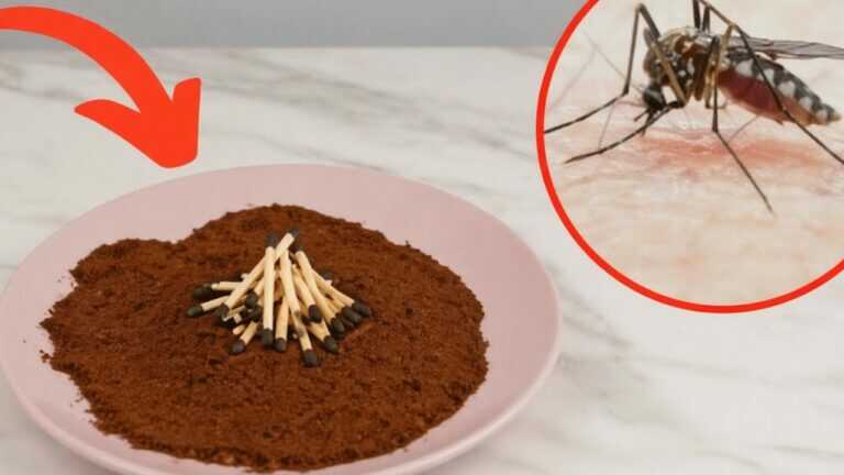 Insekten fürchten diesen Rauch. 100 % Natur, null Juckreiz