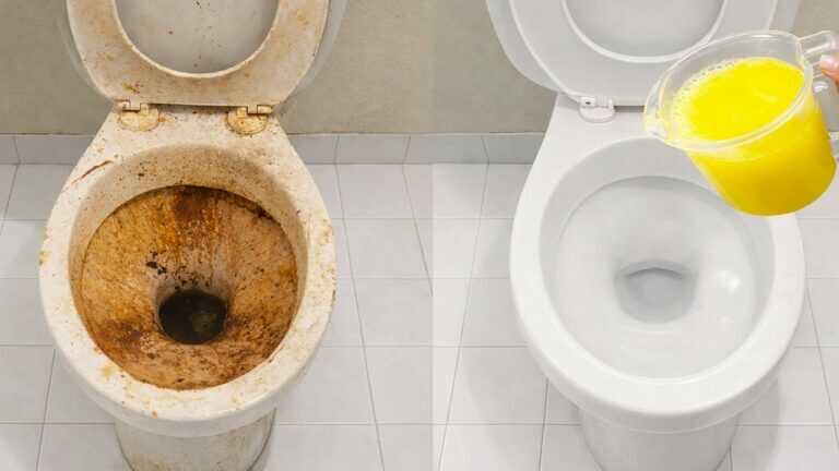 Magnifique ! Comment rendre la cuvette des toilettes comme neuve en une seule application