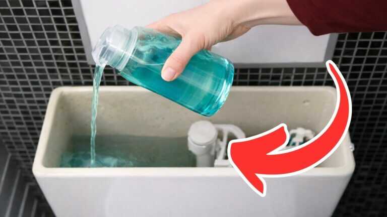 Basta un trucco con una bottiglia e il bagno profumerà senza sosta