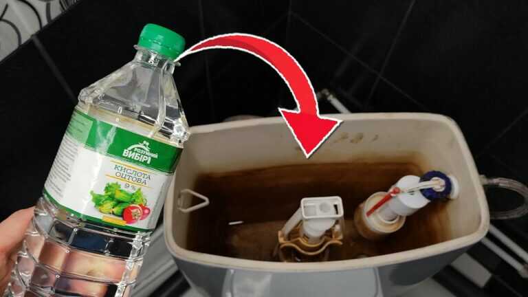 Ecco cosa succede se versi aceto nel serbatoio del WC 💥 Risultato incredibile