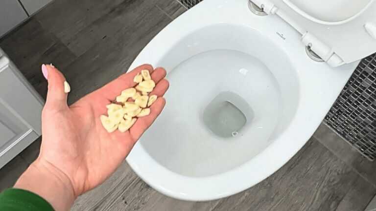 Wirf es in die Toilette und klappe den Toilettensitz über Nacht herunter. Es wird keine Spur von Schmutz und Bakterien geben.