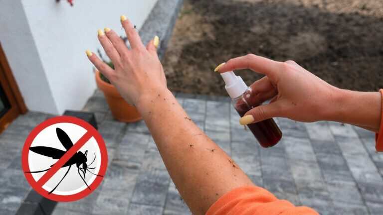 Vergiss Insekten! Das beste DIY-Abwehrmittel