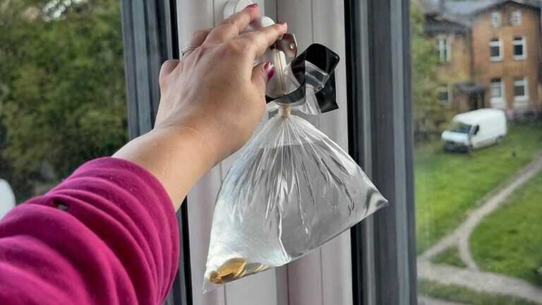Fliegen kommen nicht herein, probiere diesen Trick aus und öffne die Fenster