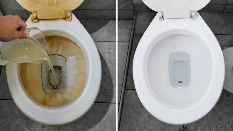 Verliere 3 Probleme mit deinem Toilettenpapier für immer!