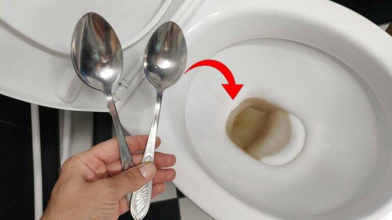 2 LÖFFEL und der Toilettenschmutz ist für immer weg – So klappt’s!