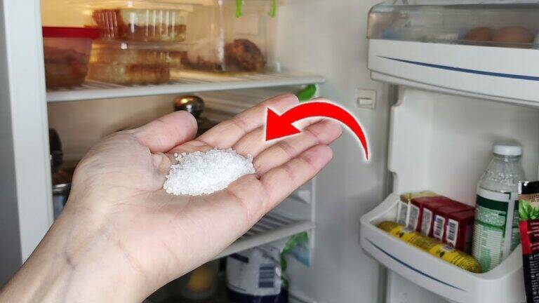 Wusstest du, dass Salz im Kühlschrank 5 erstaunliche Vorteile hat? Entdecke sie jetzt!