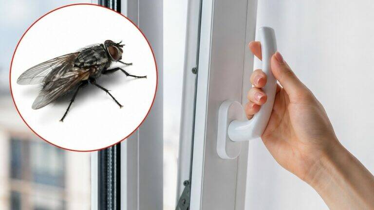 Trasforma 5 idee semplici per rendere la tua casa più accogliente!