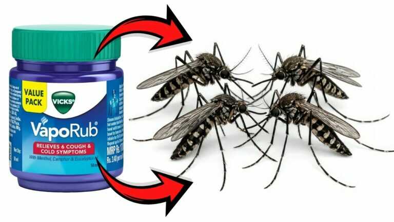 Mücken hassen das! Der Vicks VapoRub-Hack, den Sie ausprobieren müssen