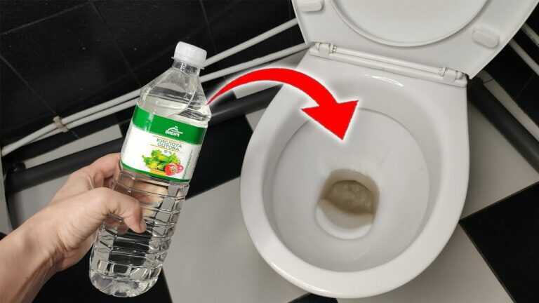 Das passiert, wenn man Essig in die Toilette gießt 💥 Unglaubliches Ergebnis