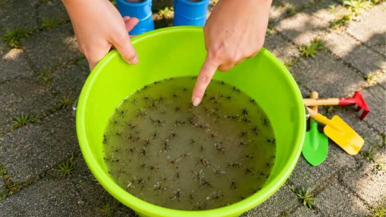 Leave this in your yard, it works better on mosquitoes than OFF