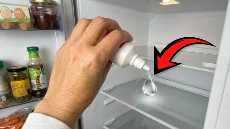 1 goccia per 365 giorni di frigorifero pulito! 6 trucchi geniali con il frigorifero di cui non avevi idea!