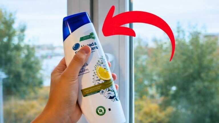 Erfahrene Hausfrauen machen das so. Fenster ohne Schlieren und Fett