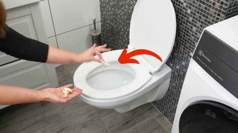 Perché sto gettando aglio nel mio gabinetto. 🚽✨ (Trucco geniale per la pulizia)