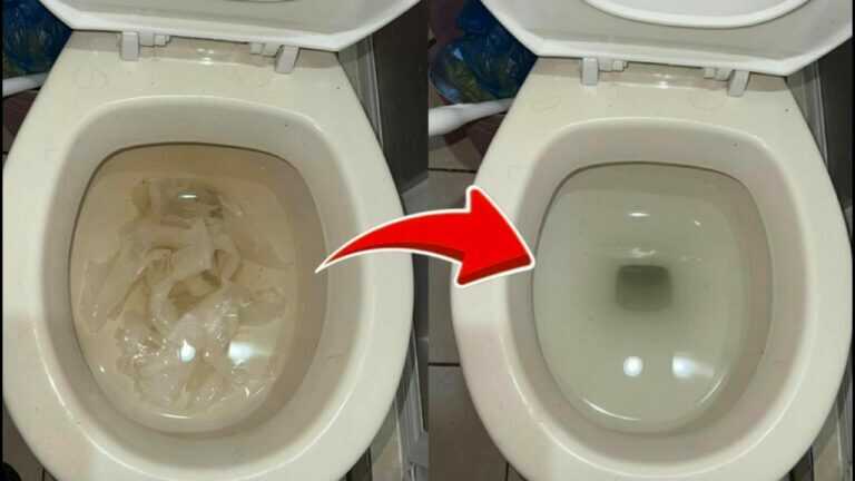 Come sturare il WC SENZA pompa ✅ (trucco casalingo facile e in pochi minuti)