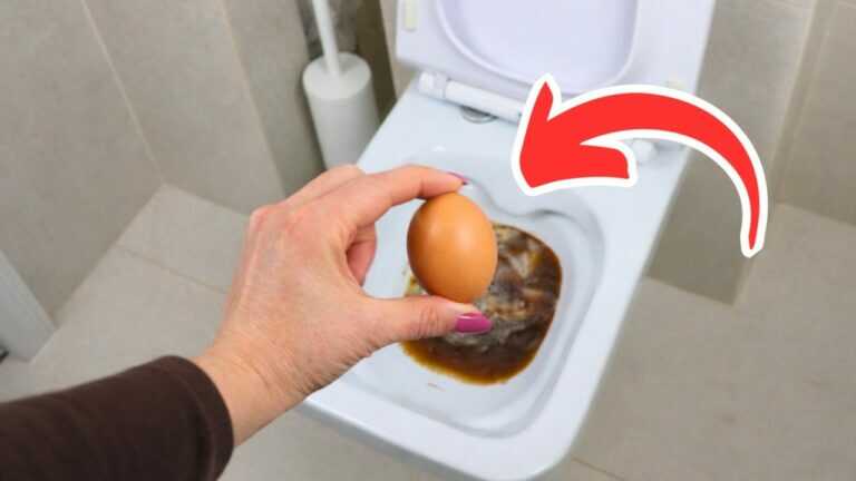 Wirf ein Ei in die Toilette. So machen es die Reichen!
