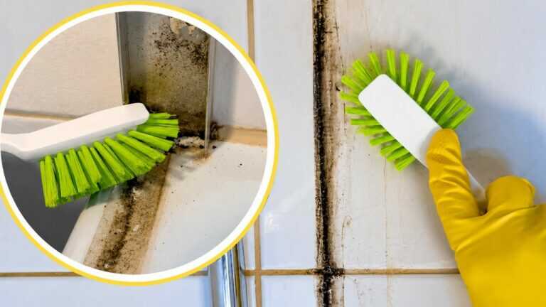 Trucco di tre minuti per rimuovere il calcare e la muffa