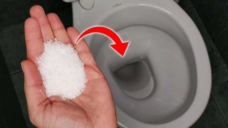 J’ai versé une poignée de sel dans la cuvette des toilettes et je ne me lasse pas du résultat