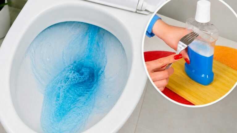 Ne tirez jamais la chasse d’eau de vos toilettes sans cela ! Cela les garde propres pendant des semaines