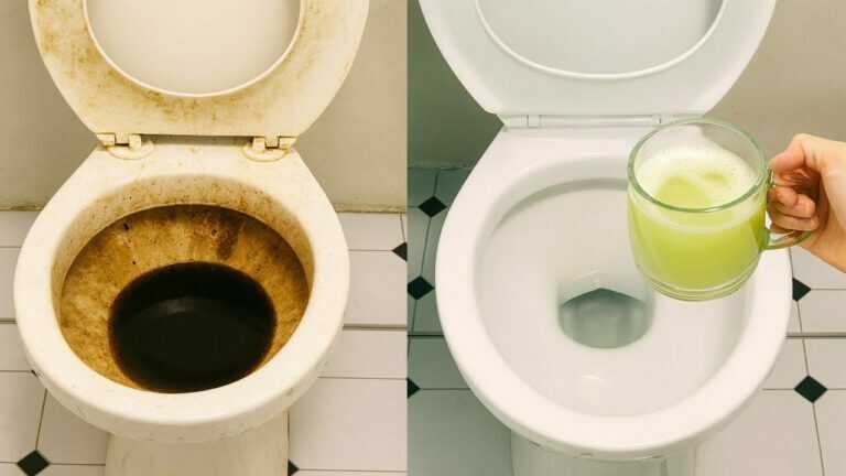 Comment nettoyer la cuvette des toilettes sans utiliser de produits chimiques, encrassée et couverte de croûtes pour moins de deux reais