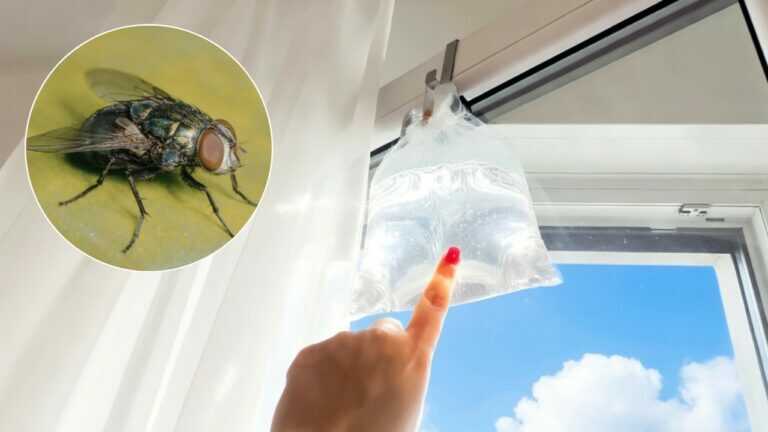 Ich habe die Fenster offen und keine Fliege kommt herein. Man muss nur eine einzige Sache aufhängen