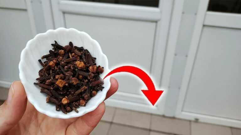 Saupoudrez de clous de girofle derrière la porte, et vous serez surpris du résultat