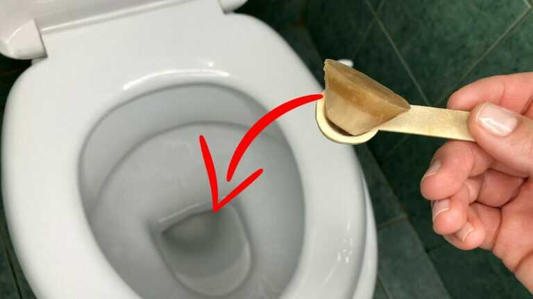 Werfen Sie DAS in die Toilette und sehen Sie, was passiert! Toilettenbomben zur Reinigung und Frische der Toilette