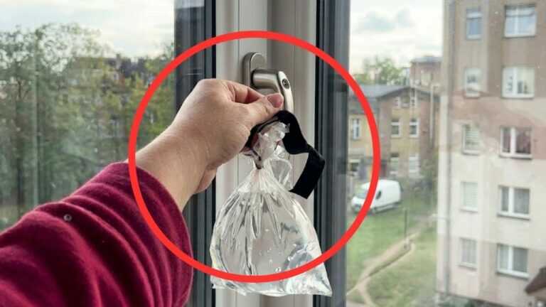 Ich habe die Fenster offen und die Fliegen kommen nicht herein. Es reicht, nur eine Sache aufzuhängen