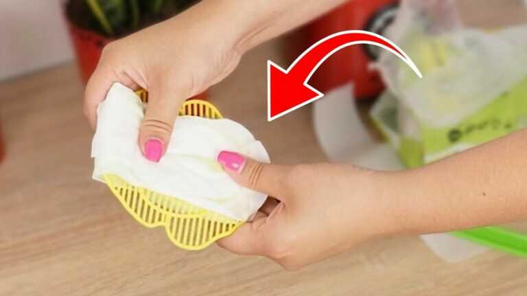 Klebe das auf eine Fliegenklatsche. Das Ergebnis wird dich überraschen.