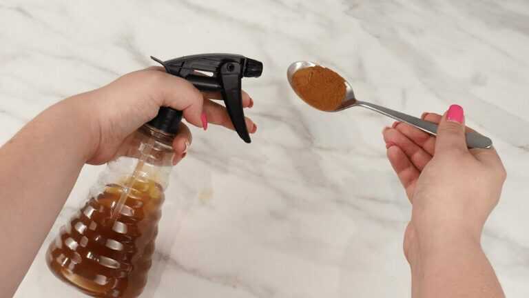 Addio mosche e zanzare! Prepara questo spray naturale ultra efficace a casa tua