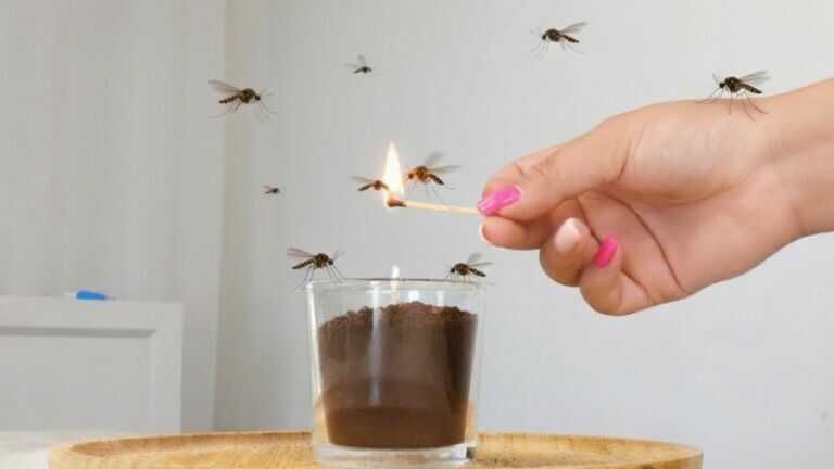Schluss mit Mücken und Fliegen – diese einfache Kerze wirkt Wunder!