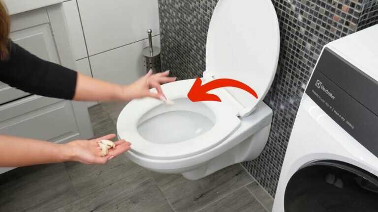 Warum ich Knoblauch in meine Toilette werfe. 🚽✨ (Genialer Reinigungstrick)