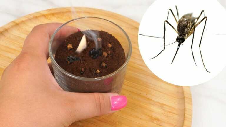 Accendi questa candela fatta in casa: il trucco decorativo ed efficace per scacciare zanzare e mosche